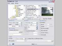 Batch Image Processor