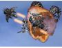 Starship Assault 1.1.2.1