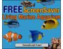 Live 3D Marine Aquarium Screensaver 1.0