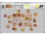 Jigsaw Puzzle Player for Mac OS X 1.0.4