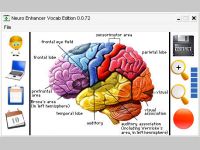 Neuro Enhancer Vocab Edition