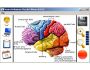 Neuro Enhancer Vocab Edition 0.0.63
