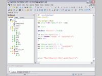 EngInSite Perl Editor Lite