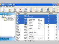 HQuote Pro Historical Stock Prices Downloader