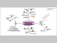 Mind Graph : graphic language to solve problems