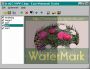 Easy Watermark Creator 2.0
