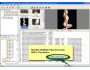Picture Ripper 3.51