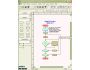 Parabens Flow Charter 4.17