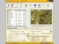 MedianSoft Joiner-Converter