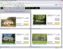 Amplify 5.5.0