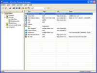 Effective Password Manager