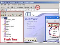 GetFlash