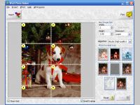Wall Photo Maker