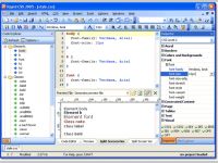 Rapid CSS 2004