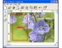 Ankrie ImageCutter 1