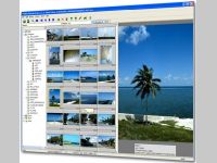 BR's PhotoArchiver