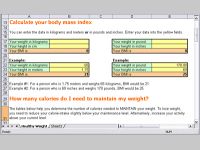 Weight Loss Program