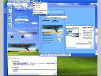ExeDesk, Professional Edition