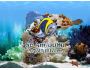 Amazing 3D Aquarium 2.52