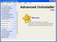 Advanced Uninstaller PRO 2004