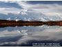 The Best of Alaska 3.1