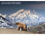 Wonders of Denali National Park 1.3