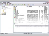 EF CheckSum Manager