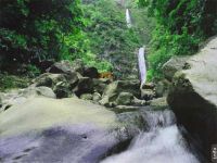 SS Jungle Waterfall -Animated Screensaver