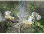 SS Amazing Waterfall - Animated Screensaver 2.0