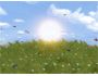 AD Butterflies - Animated 3D Wallpaper 1.0
