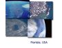 Earth from Space - Florida Screen Saver 1.0