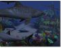 Sharks, Terrors of the Deep 1.0