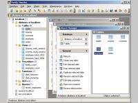 MySQL Maestro
