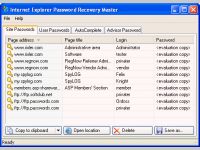 Internet Explorer Password Recovery Master