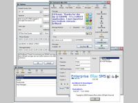 Enterprise Blue SMS