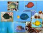 FP :: Amazing 3D Aquarium ADD-on :: Zebrasoma Fish Pack 1.0