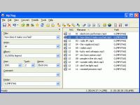 Florian Heidenreich's Mp3tag