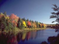 7art Tender Autumn ScreenSaver