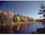 7art Tender Autumn ScreenSaver 1.5