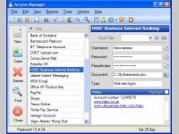 Access Manager