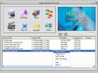 Magic Video Batch Converter