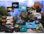 FP :: Amazing 3D Aquarium ADD-on :: Genicanthus Fish Pack 1.0