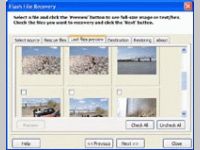 Flash File Recovery