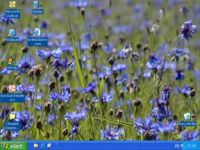 Exterpassive Video Wallpaper & Screensaver