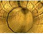 3D Ancient World of Gods ScreenSaver 1.5