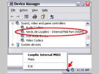 LoopBe1 - virtual MIDI LoopBack driver