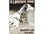Illustrix: Dog Dream(PocketPC) 1.0