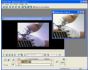 Video Pilot 1.10