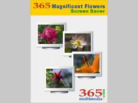 365 Magnificent Flowers Screen Saver