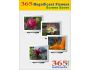 365 Magnificent Flowers Screen Saver 2.1